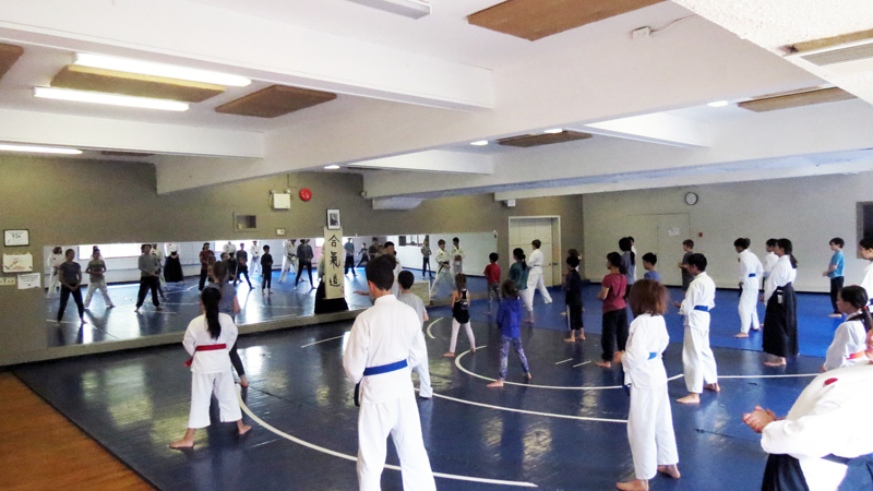 Bert Richmann Building Dojo