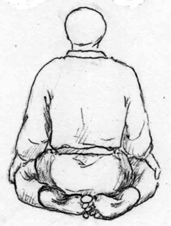 Seiza - Rear